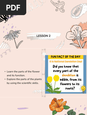 L2_1.1 Flowering and Non-Flowering Plants
