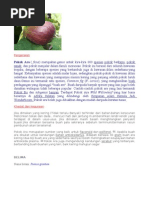 Download PETUA by kailsejengkal SN78292266 doc pdf