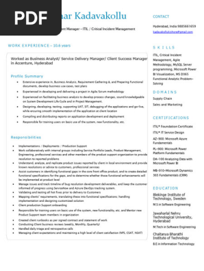 Business Analyst_Service Delivery Manager_Incident Manager