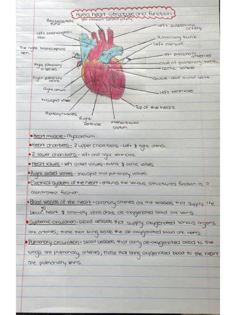 Upload Heart | PDF