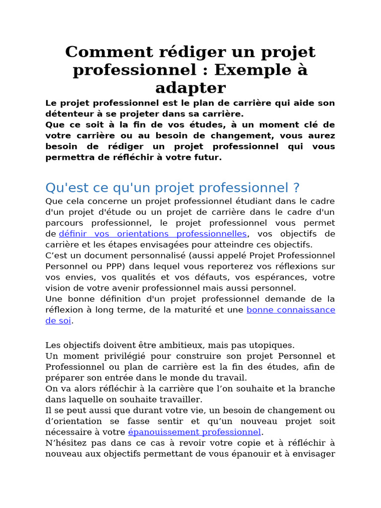 Rédiger un projet professionnel efficace | PDF | Chef de projet ...