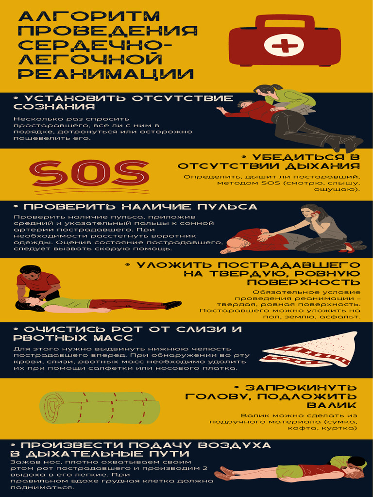 First Aid | PDF