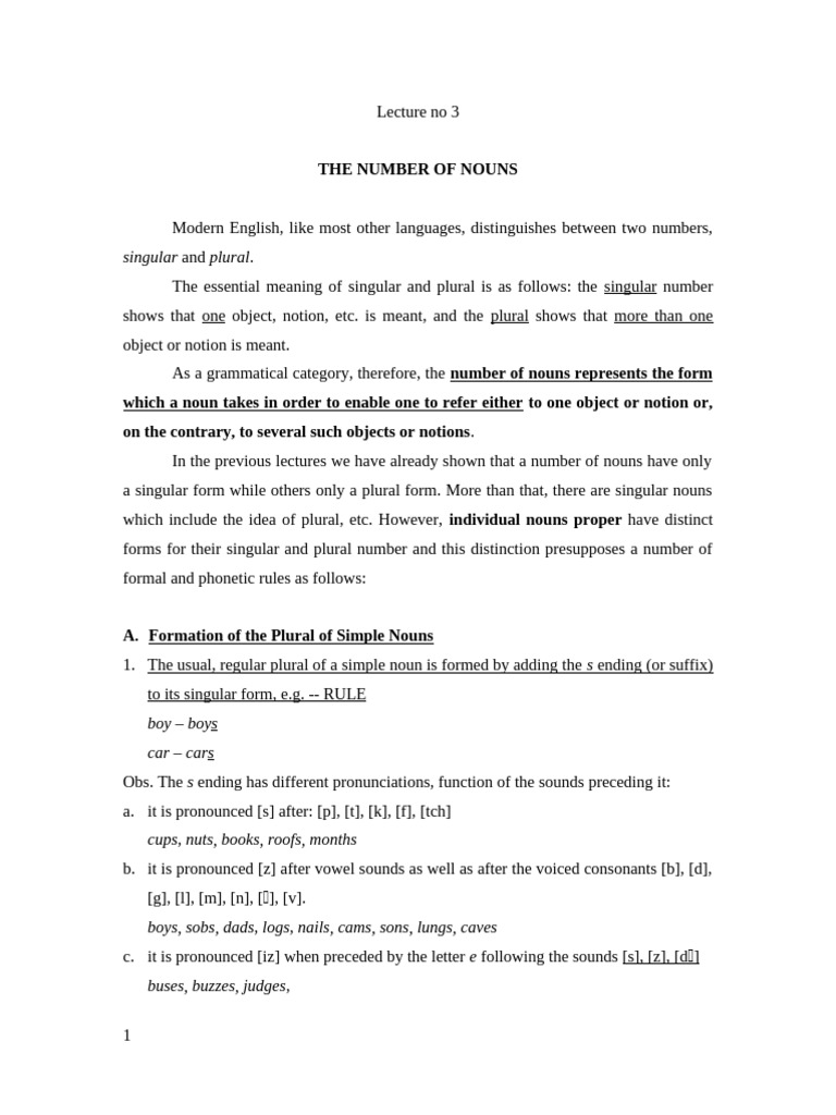 Understanding Noun Numbers in English | PDF | Grammatical Number | Plural