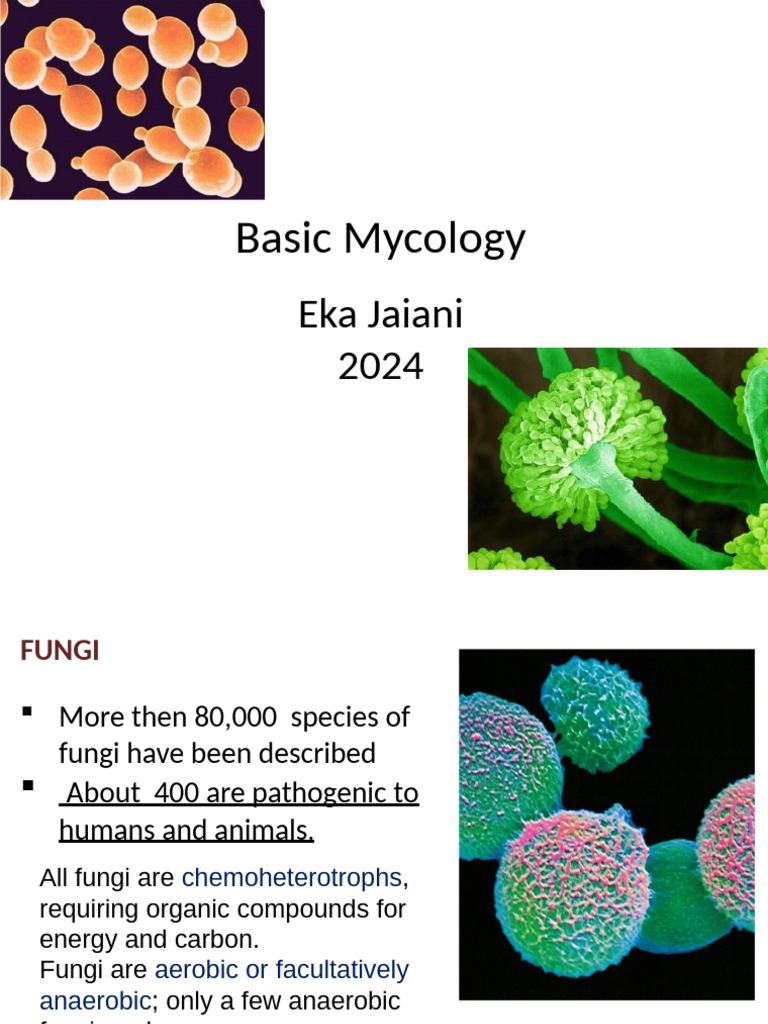 Introduction to Basic Mycology | PDF | Fungus | Bacteria