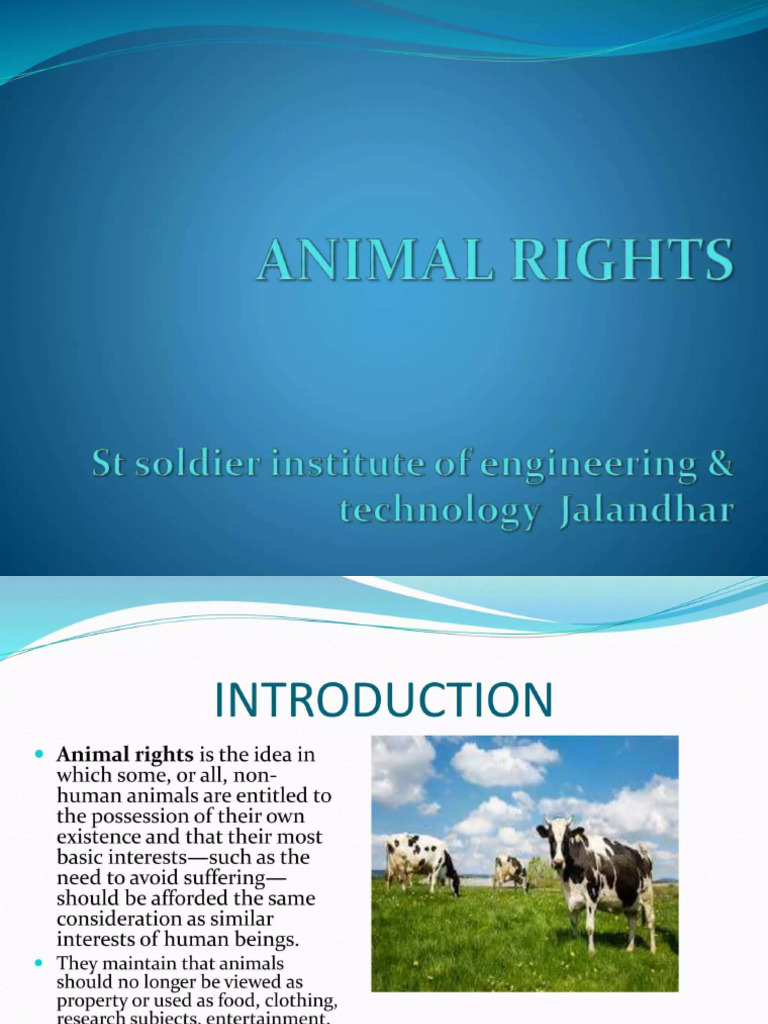 Animal Project ENG 2 | PDF