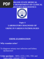 MSU Test Results Explained: Infection Guide | PDF | Infection | White ...