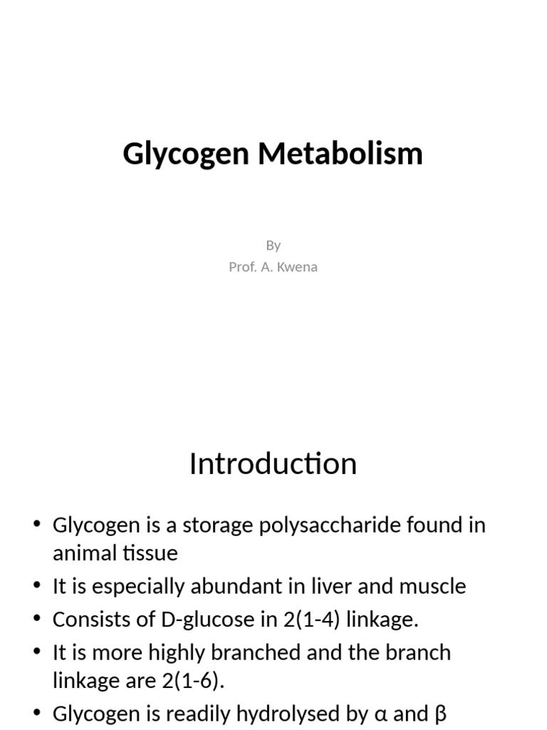 Glycogen Metabolism | PDF | Glycogen | Phosphorylation