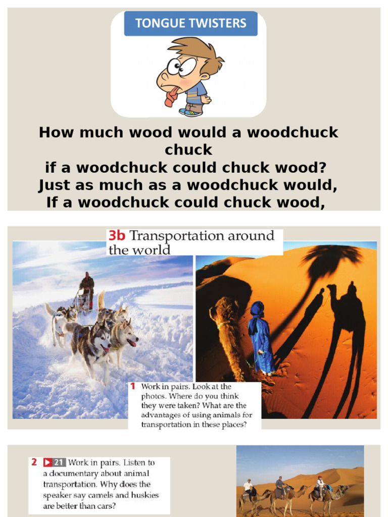 Woodchuck Wood Chucking Riddle | PDF