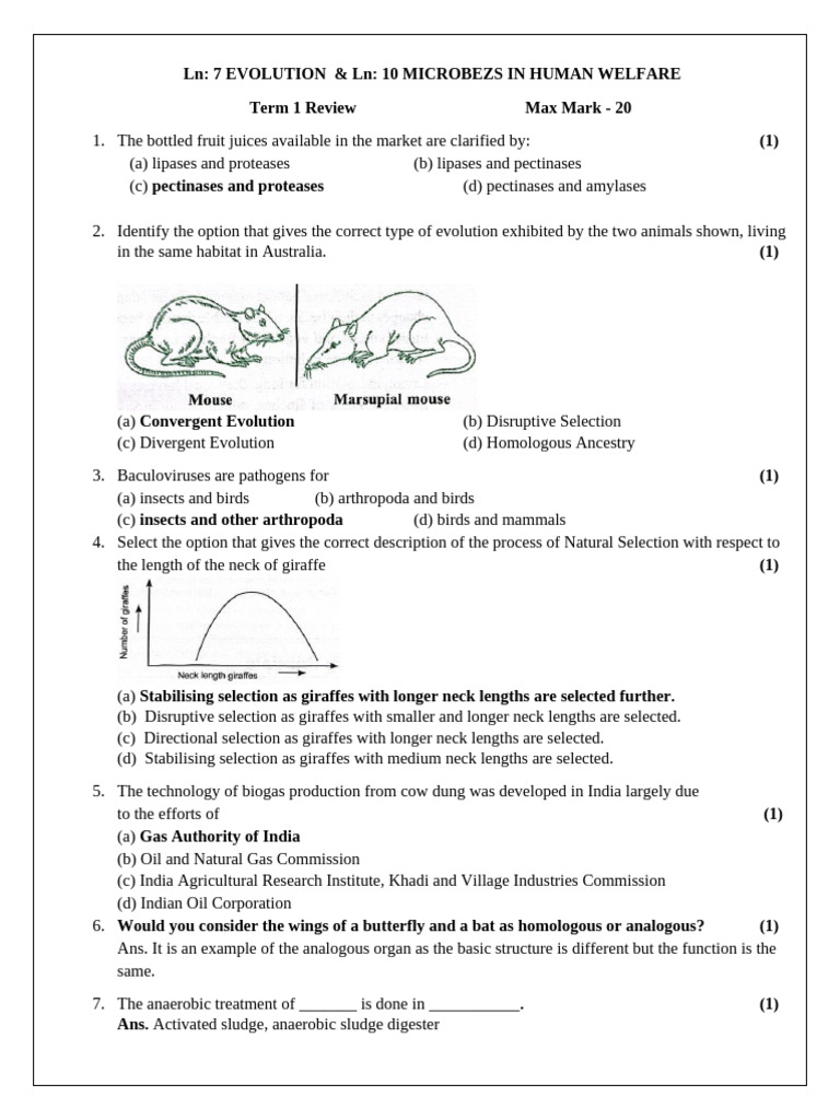 Evolution and Microbes AK | PDF | Abiogenesis | Ammonia