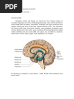 Download SISTEM LIMBIK Fisiologi Nana by Ratna Oka Rastini SN78300343 doc pdf