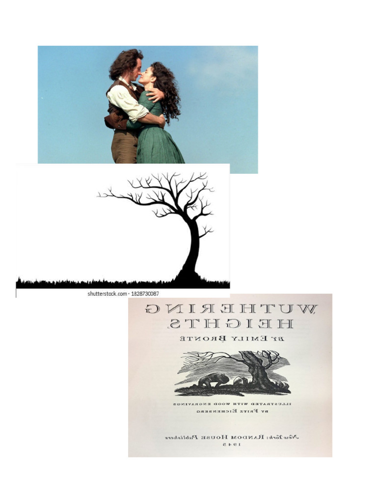 WHAT DOES WUTHERING MEAN IN WUTHERING HEIGHTS visual data 2