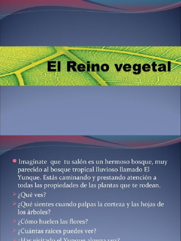 PLANTAS VASCULARES E AVASCULARES visual data 5