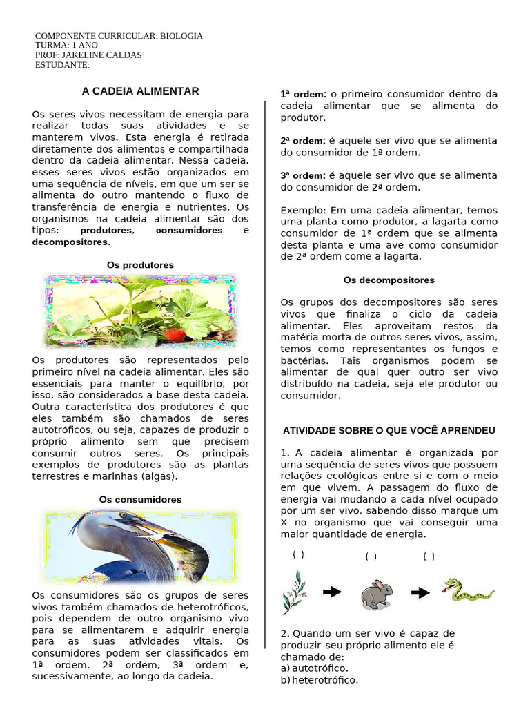 Atividades sobre Cadeia Alimentar 4º Ano | PDF | Organismos | Ecologia
