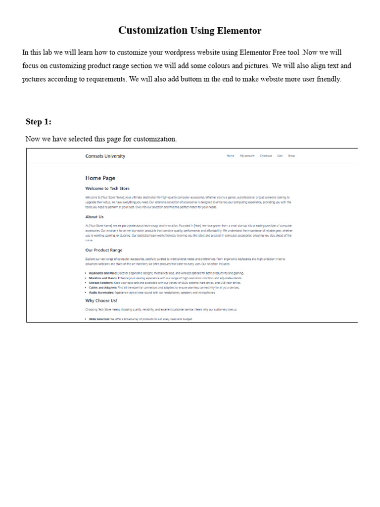 Wordpress Customization | PDF