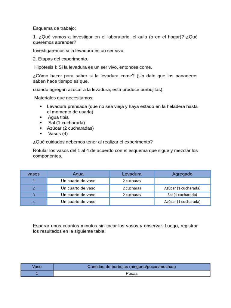 Experimento tp2 Naturales | PDF | Levadura | Fermentación