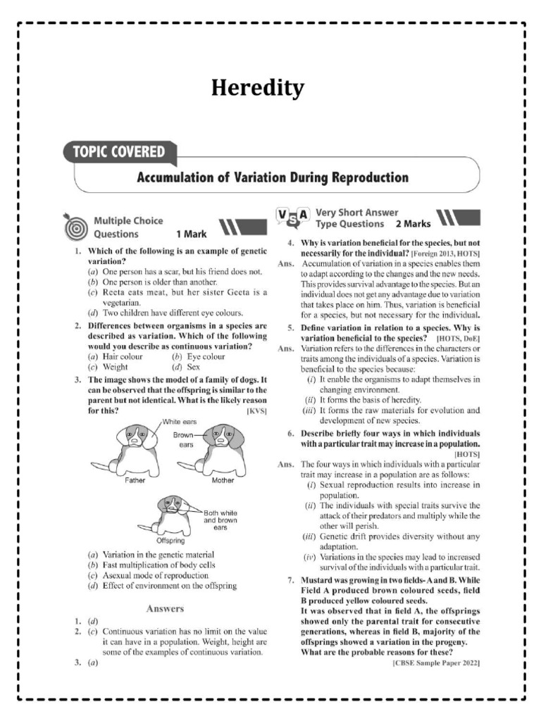 Selfstudys Com File | PDF