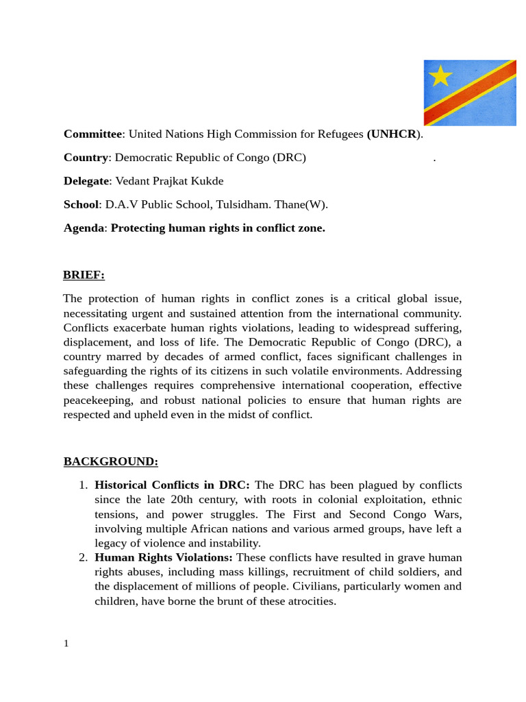 DRC Human Rights in Conflict Zones | PDF | Democratic Republic Of The ...