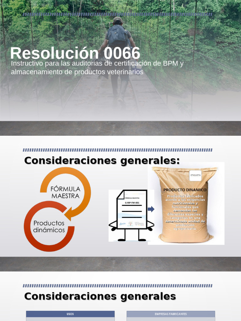 Presentación Resolución 0066 | PDF