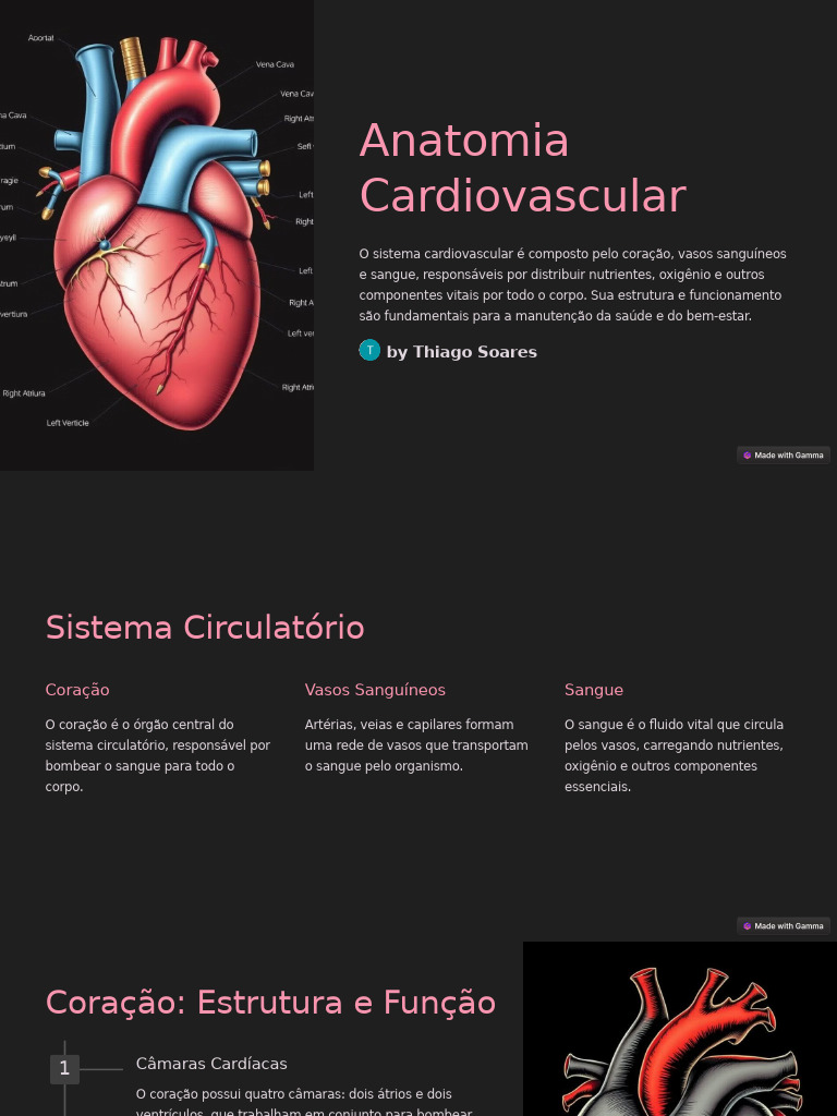 Anatomia do Sistema Cardiovascular | PDF | Coração | Sistema circulatório