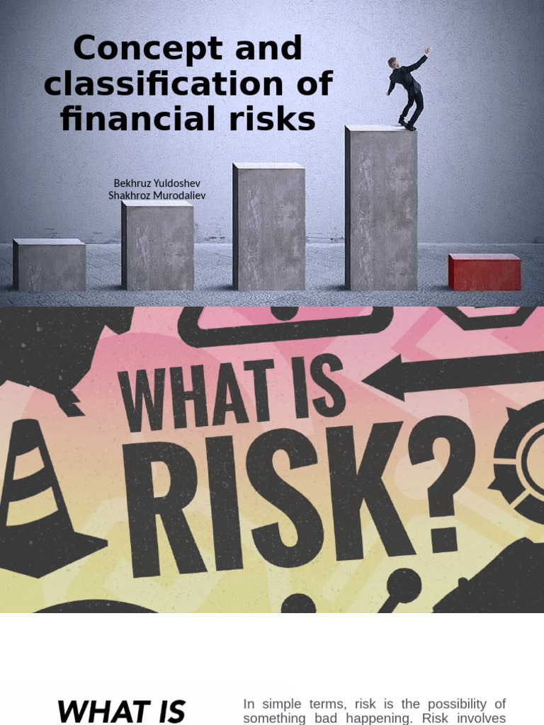 Financial Risks | PDF