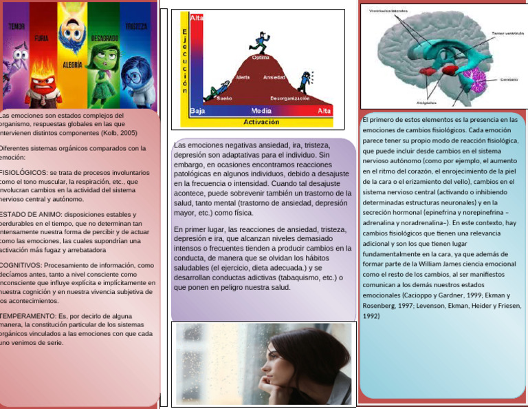 Triptico | PDF | Las emociones | Depresión (estado de ánimo)
