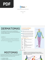 Metámera: Estructura y Funciones Nerviosas | PDF
