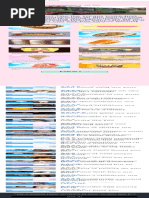 Alien Stage Profile Stats Overview | PDF