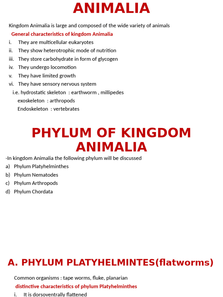 Kingdom Animalia | PDF | Nematode | Biology