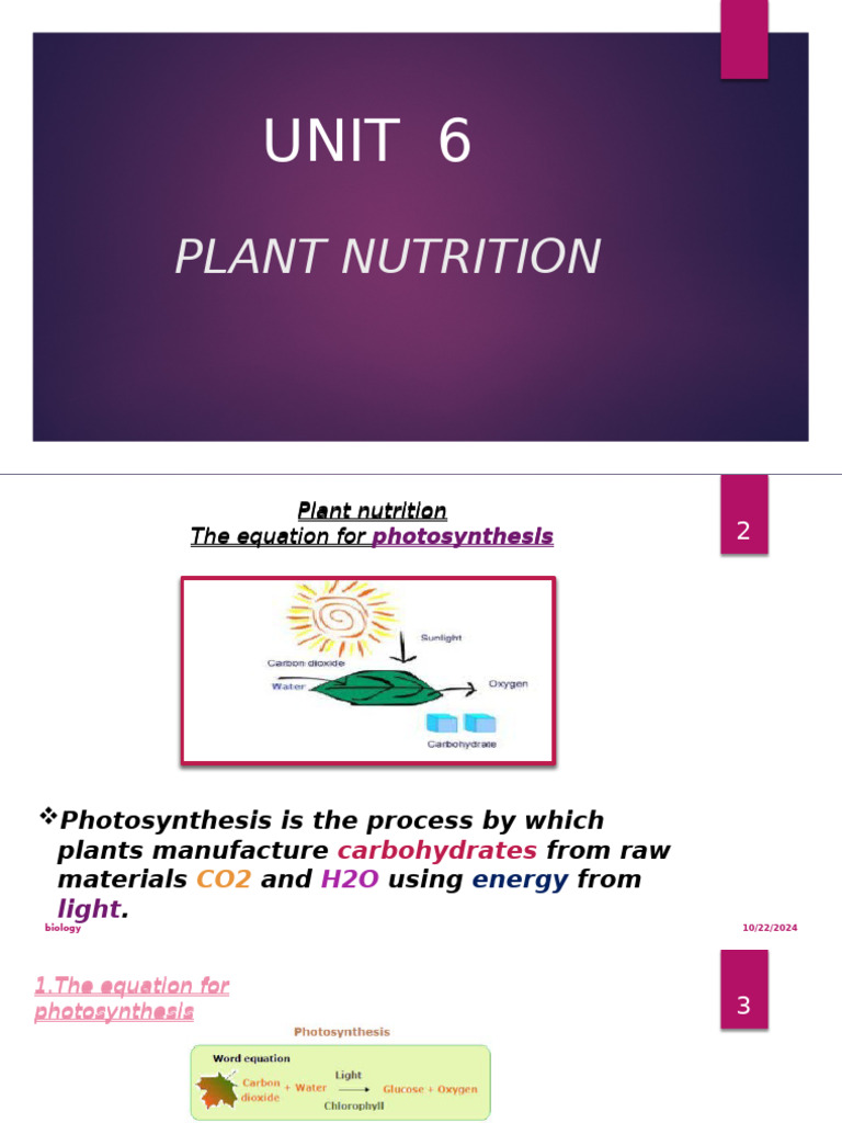 Understanding Plant Nutrition and Photosynthesis | PDF | Photosynthesis ...