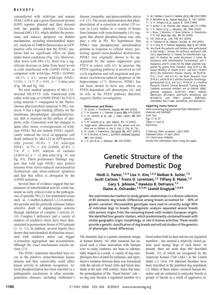 PINK1 Mutation Effects on Mitochondrial Function | PDF | Dog Breeds | Dogs