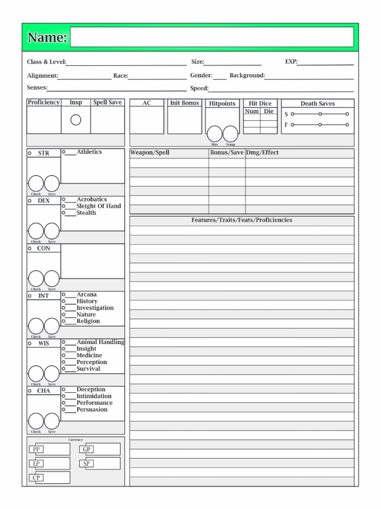 5E Editable Blank Character Sheet | PDF