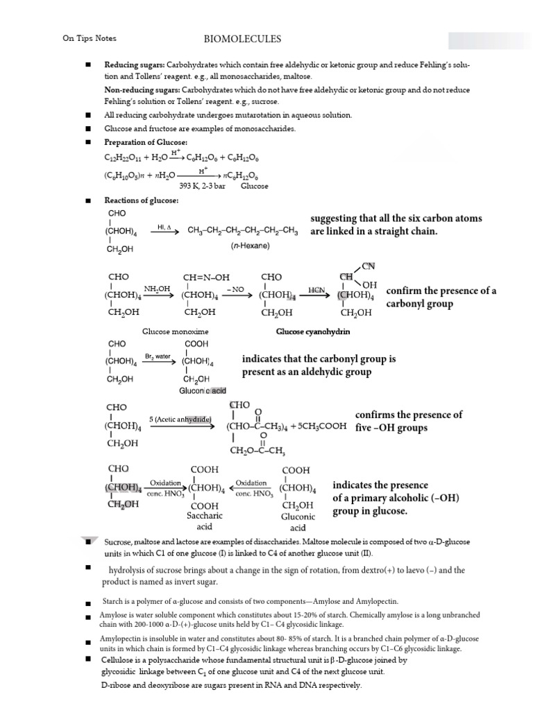 BIOMOLECULES_NOTES | PDF | Carbohydrates | Glucose