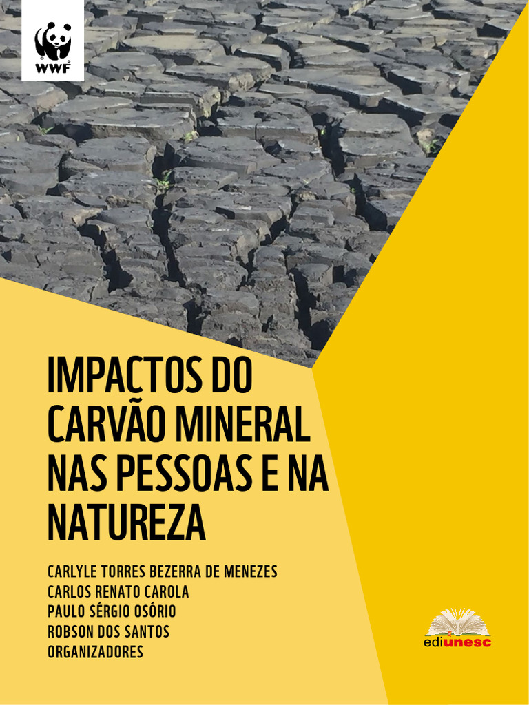 Impactos Do Carvão Mineral Nas Pessoas e Na Natureza | PDF | Energia ...