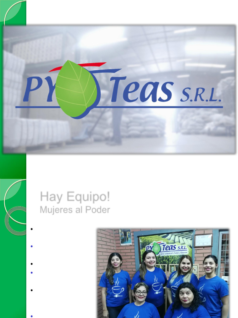 Presentacion Paraguay Teas SRL 2019 Videos PDF