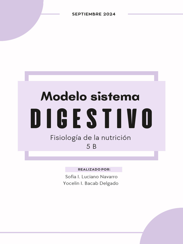 Modelo Sistema Digestivo Pdf Pdf Digestión Sistema Digestivo Humano