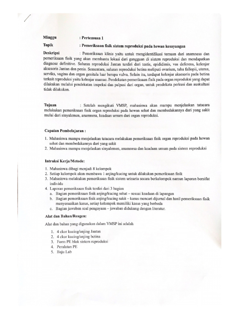 Anatomi Testis Kucing dan Anjing | PDF