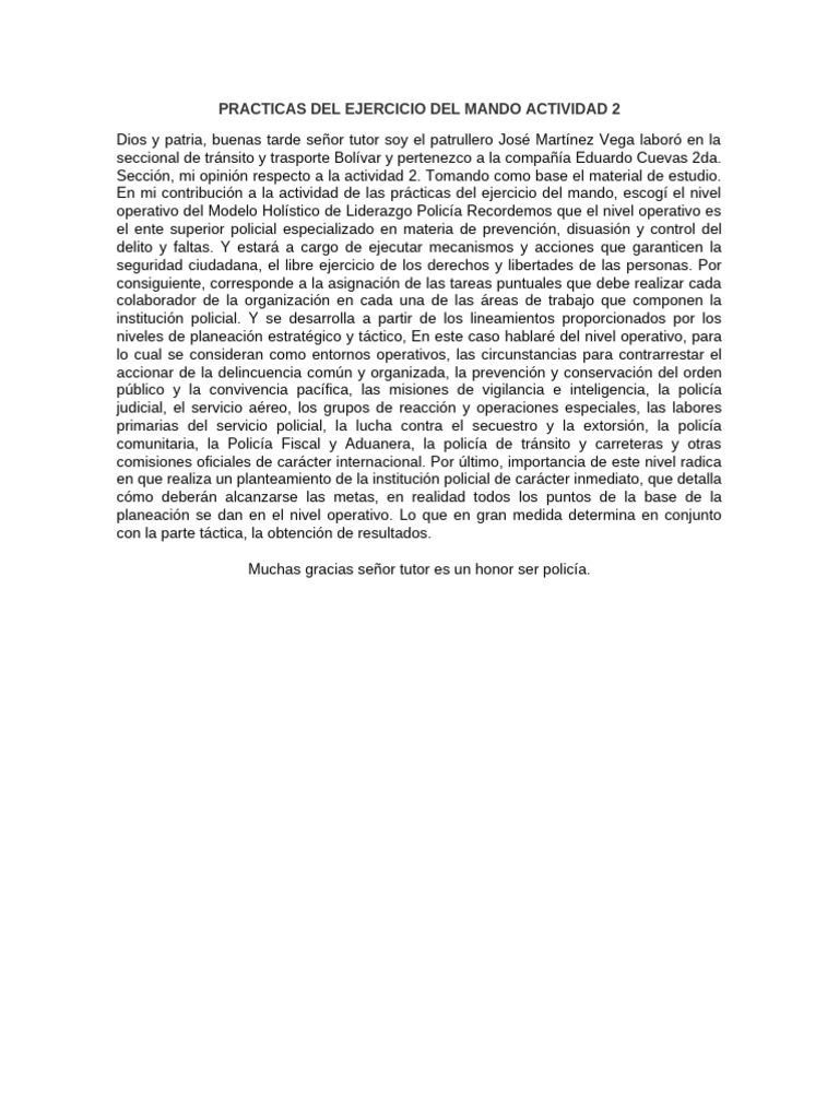 Practicas Del Ejercicio Del Mando Actividad 2 | PDF
