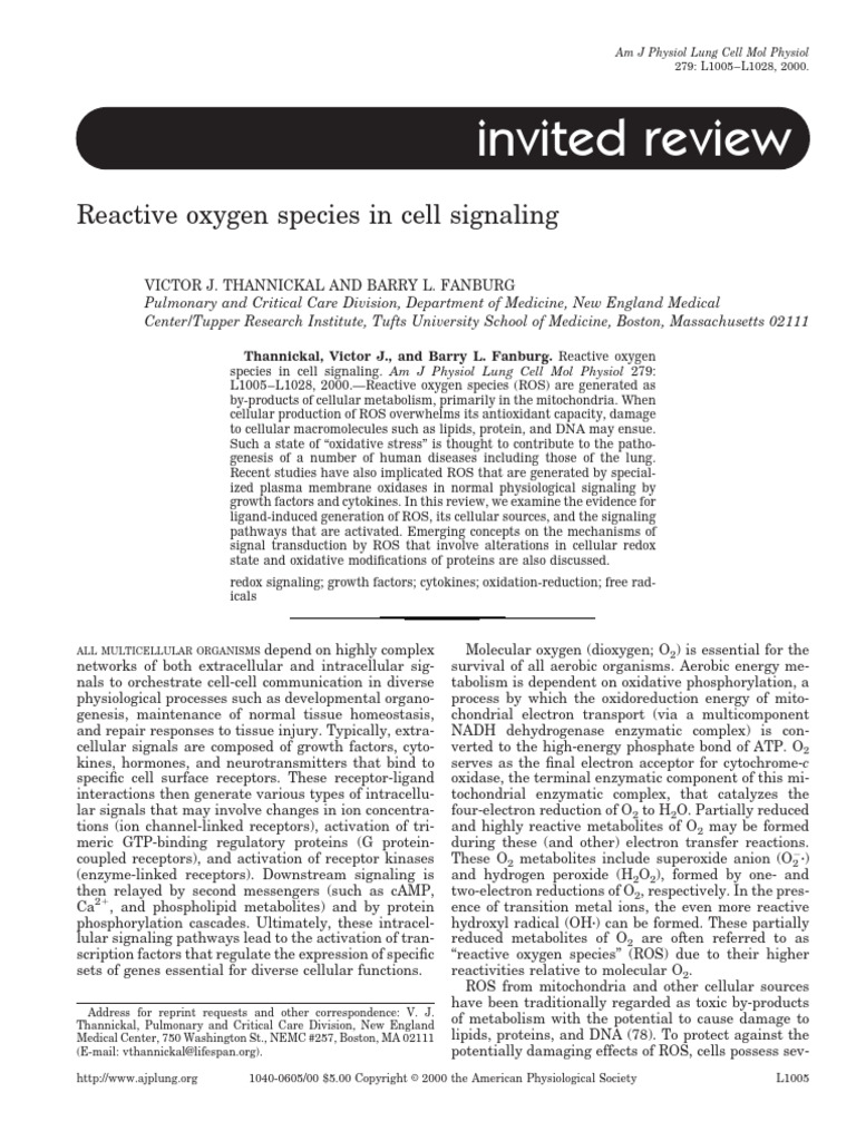 Reactive Oxygen Species in Cell Signaling | PDF | Reactive Oxygen ...