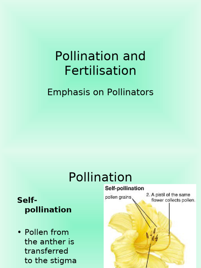 Pollination and Fertilisation (EDocFind - Com) | PDF | Science ...