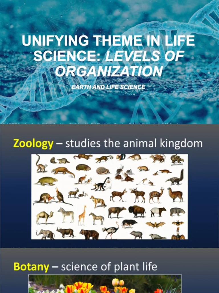 Unifying Themes in Science | PDF
