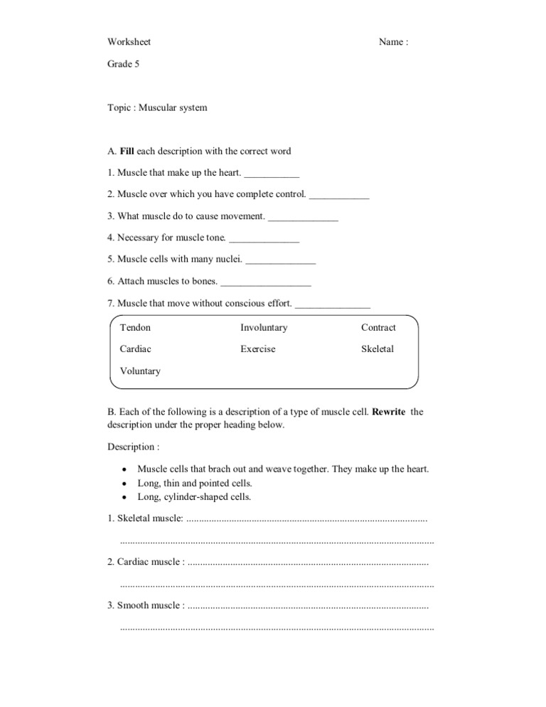 Worksheet Grade 5 Muscular System