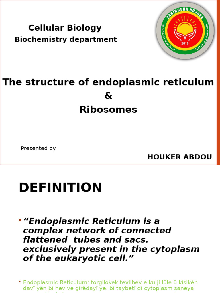 The ENDOPLASMIC RETICULUM | PDF | Ribosome | Rna