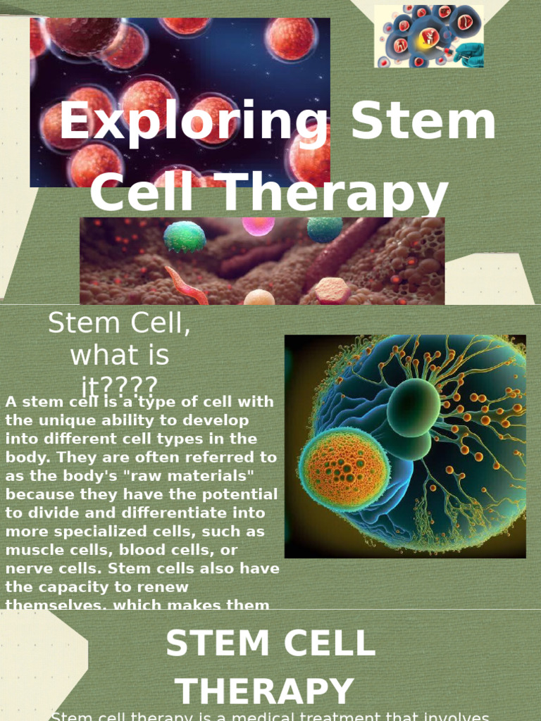 Stem Cell Therapy Overview | PDF