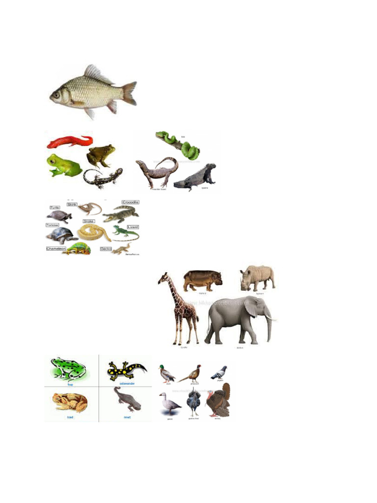 Science Pics | PDF
