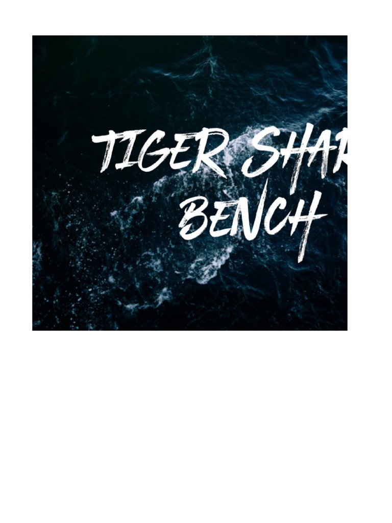 Tiger Shark Bench Press Program By Nik D LiftVault PDF Weight 