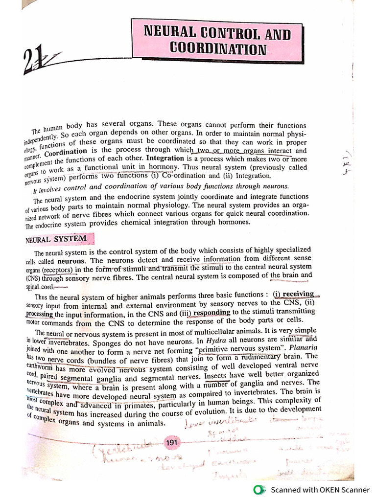 neural control and coordination | PDF