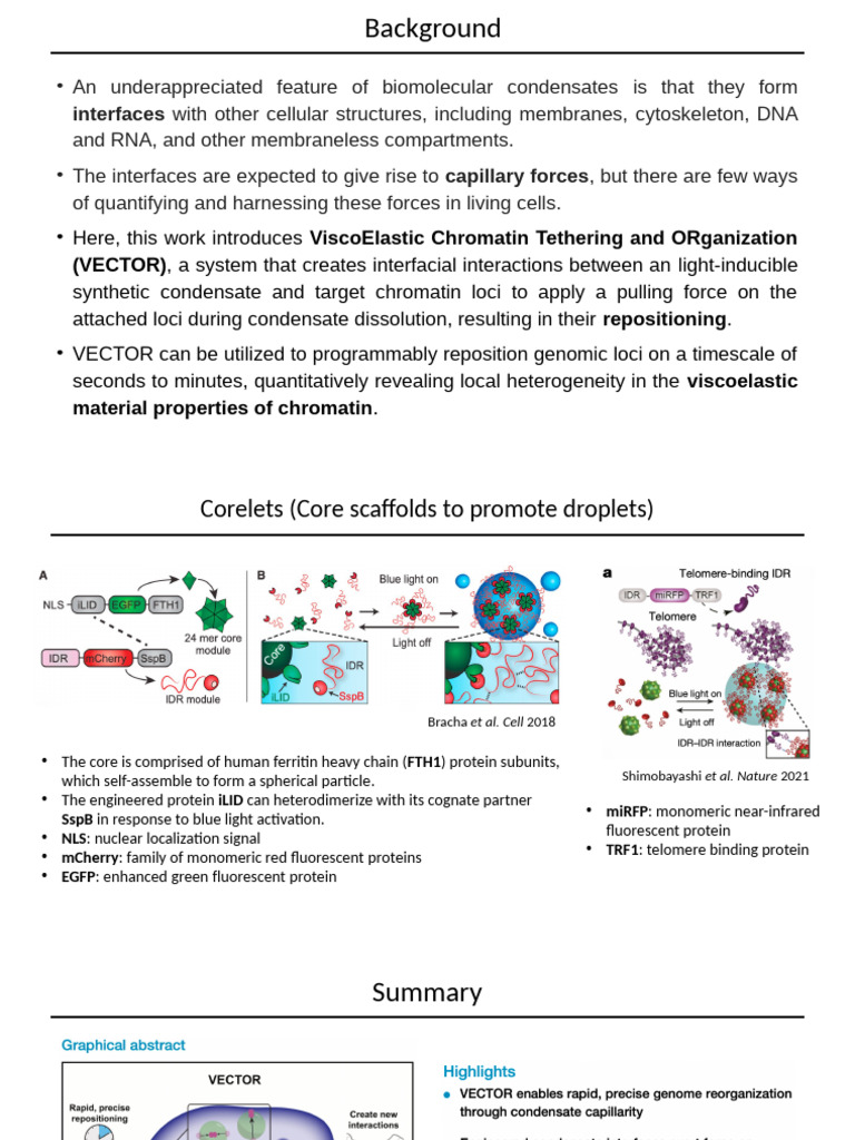 VECTOR: Programmable Genomic Loci Repositioning | PDF | Science ...