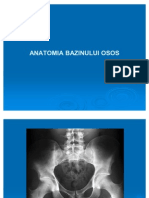 Anatomia Bazinului Osos