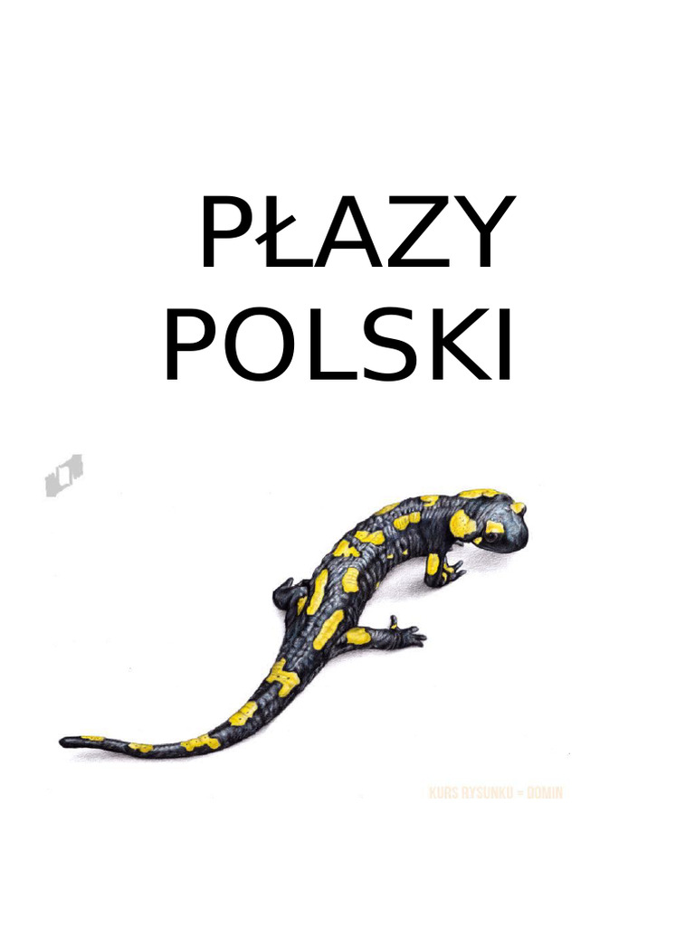 Płazy | PDF