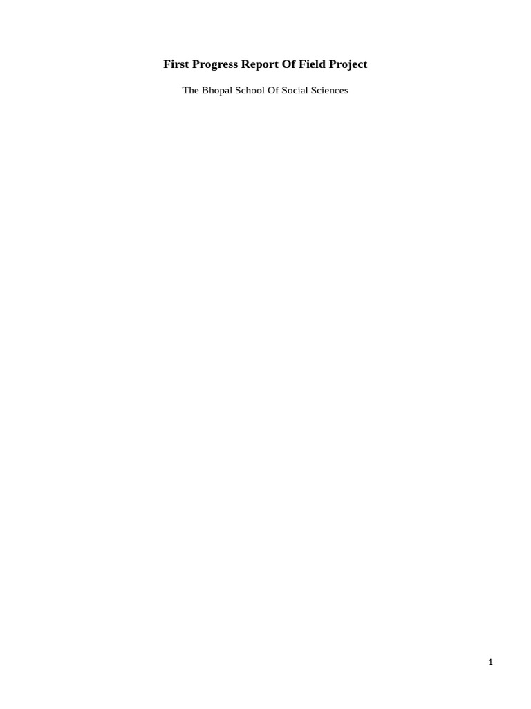 Project Report 1 | PDF | Digital Marketing | Marketing